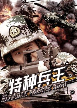 特種兵王