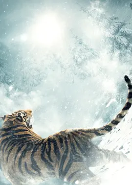 智取威虎山電影紀錄片之打虎上山