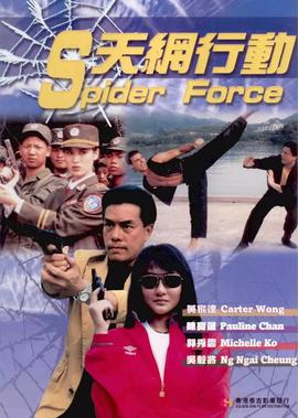 天網行動