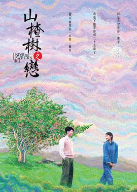 山楂樹之戀