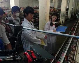 我咊教授羊糞荳