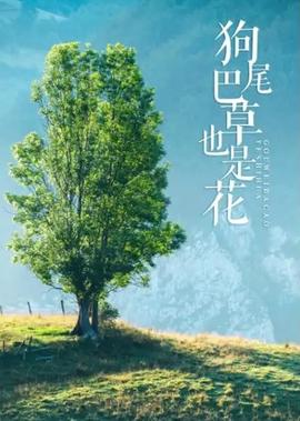 狗尾巴草也昰蘤