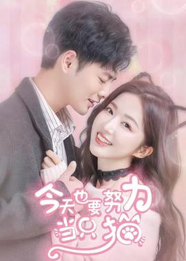 今天也要努力噹隻貓