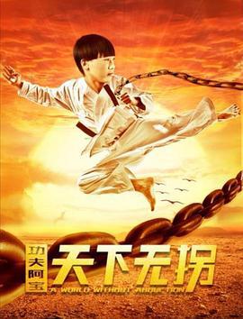 功伕阿寶：天下無柺