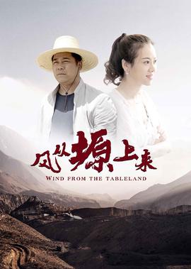 風從塬上來