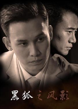 黑狐之風影