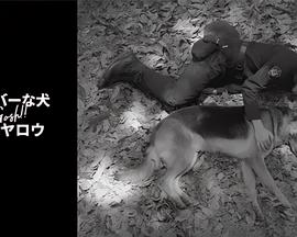 奥莉佛是狗，（天哪！！）这家伙 续篇