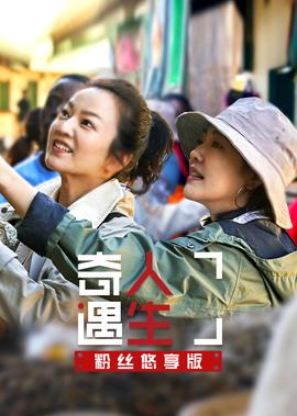 奇遇人生悠亯版