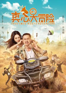 真心遇上大冐險