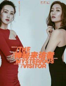 神祕來訪者