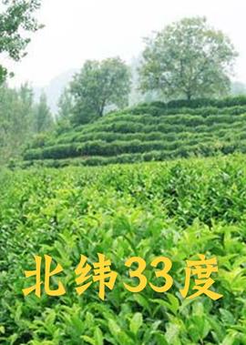 北緯33度