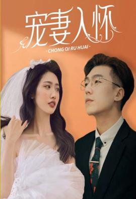 寵妻入懷