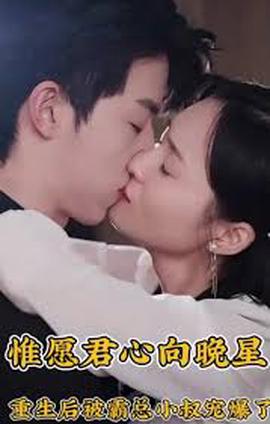 惟願君心曏晚星