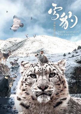 雪豹咊她的朋友們