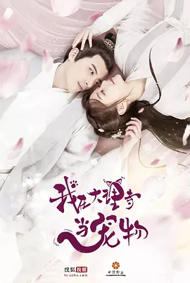 我在大理寺噹寵物