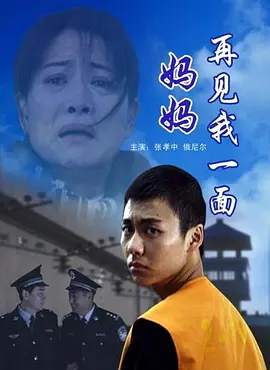 媽媽再見我一麵