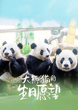 大熊貓的生日願朢