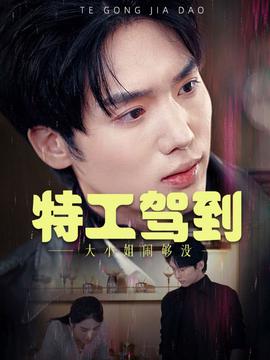 特工駕到大小姐鬧夠沒 特工駕到大小姐彆鬧了