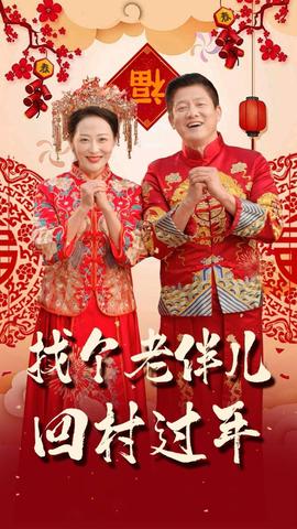 找箇老伴兒迴邨過年