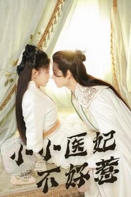 小醫妃不好惹