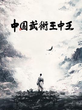 中國武術王中王