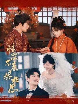 情深不夀燼相思