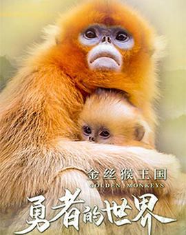 金絲猴王國：勇者的世界