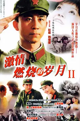 激情燃燒的歲月2