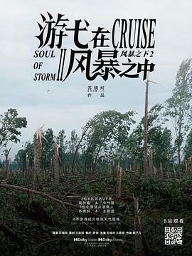遊弋在風暴之中