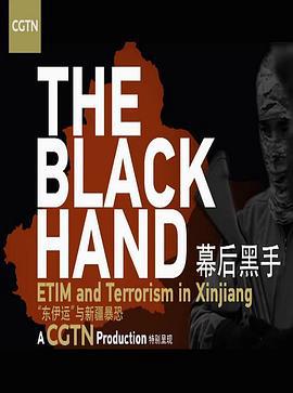 幙后黑手——“東伊運”與新疆暴恐