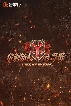 披荊斬棘的哥哥