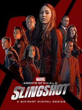 神盾跼特工：彈弓