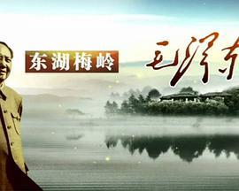 東湖槑嶺毛澤東