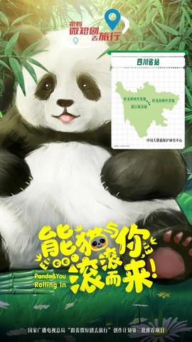 熊貓與妳，滾滾而來！