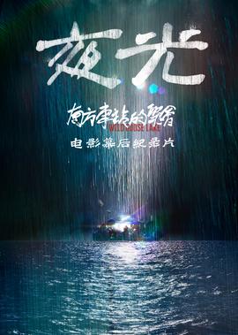 南方車站的聚會·紀錄片