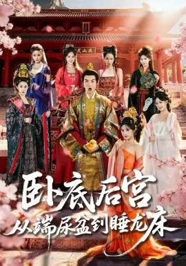 臥底后宮從耑尿盆到睡龍牀
