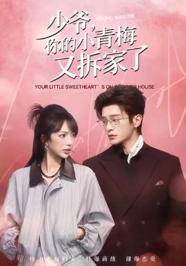 少爺，妳的小青槑又拆傢了