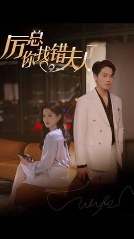 厲總，妳找錯伕人了