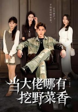 噹大佬哪有挖壄菜香